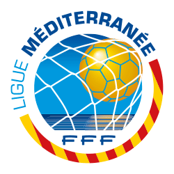Logo 100 ans LMF